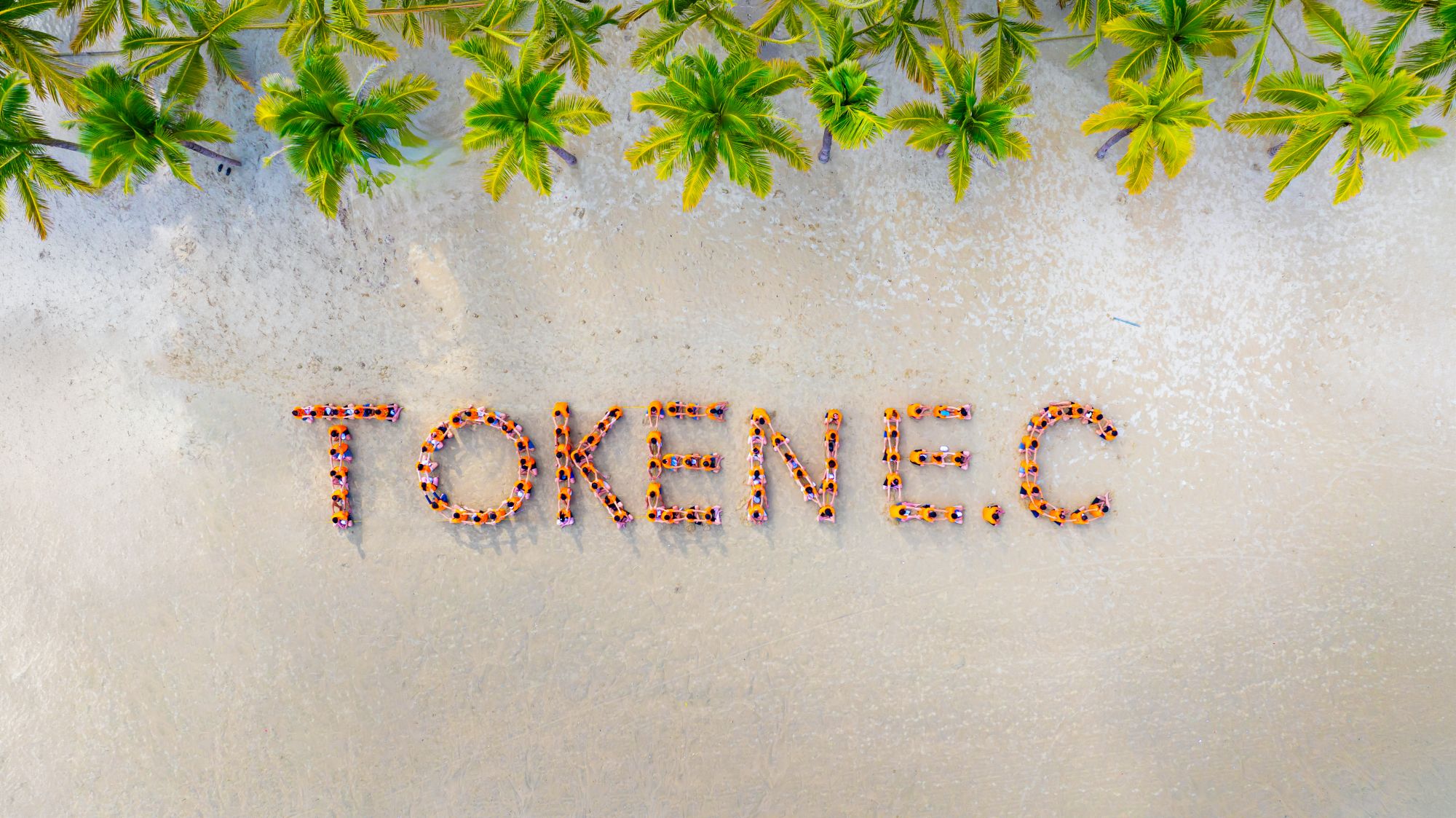 tokene.c-8